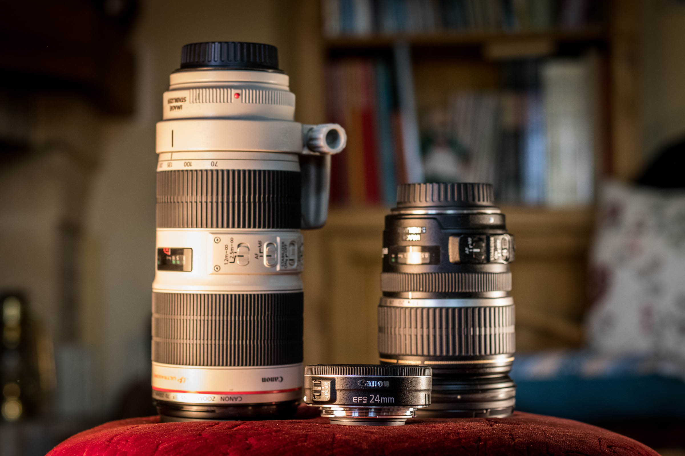 N'est-il pas trognon ? objectif Canon 24 mm