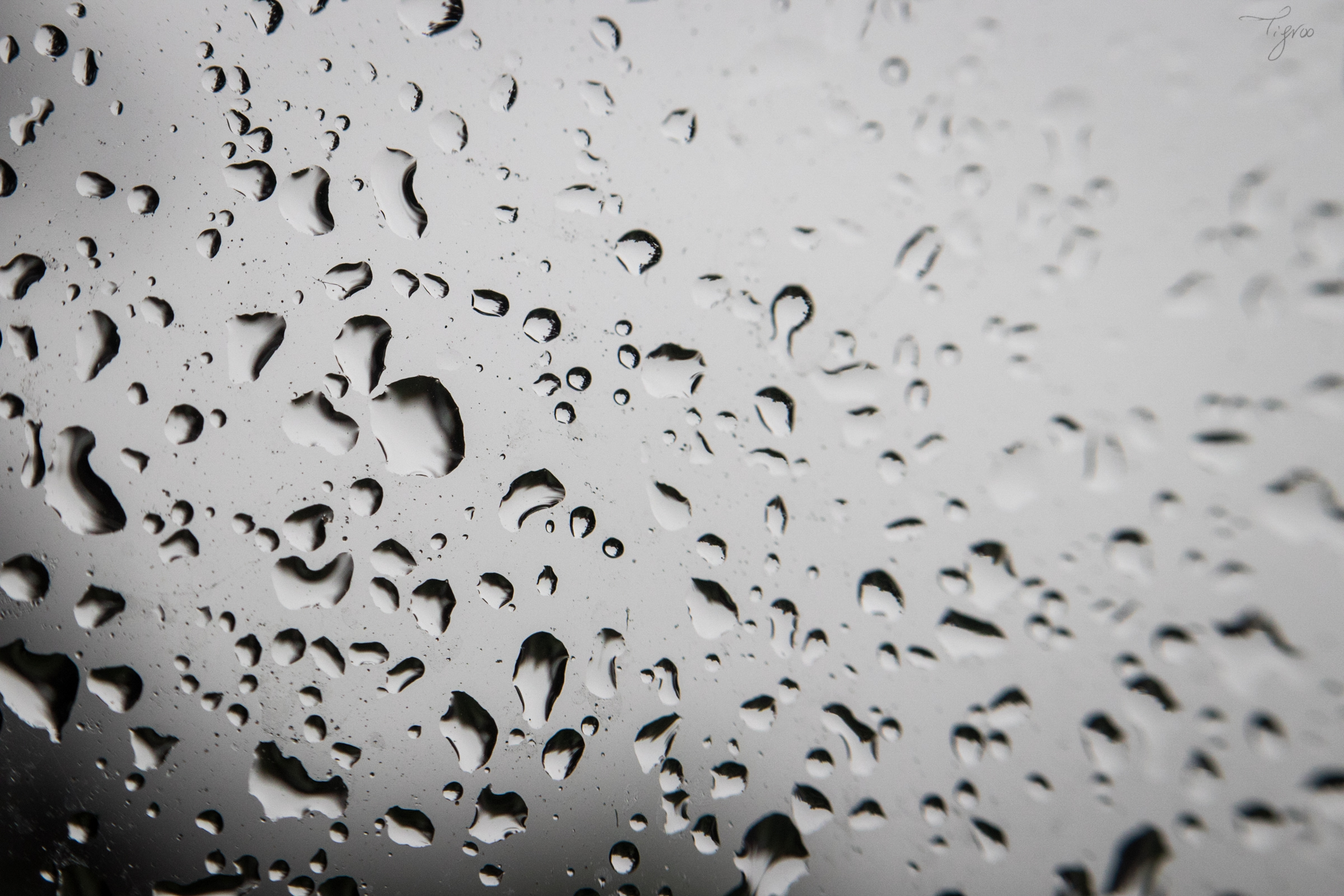 pluie