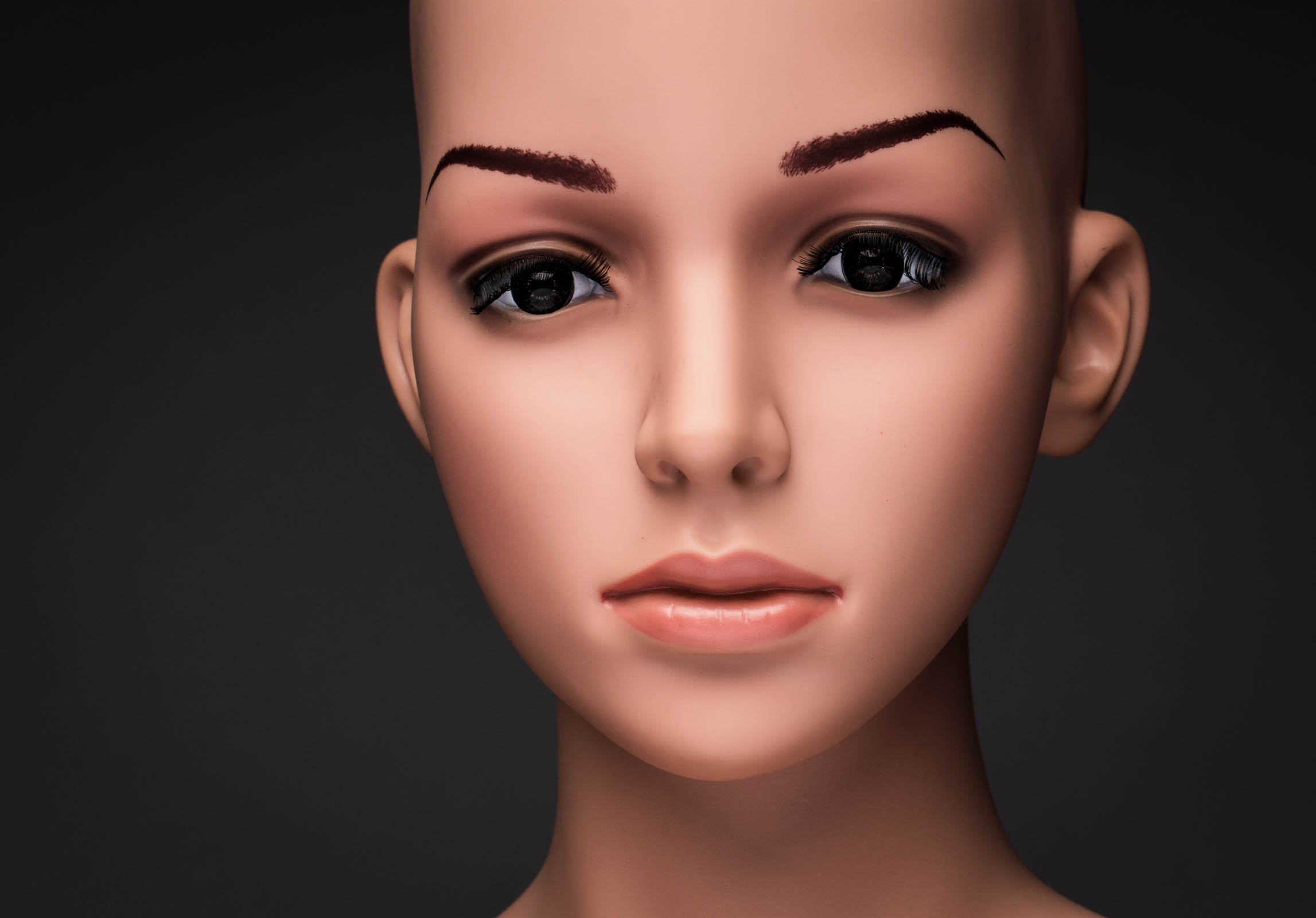 portrait mannequin