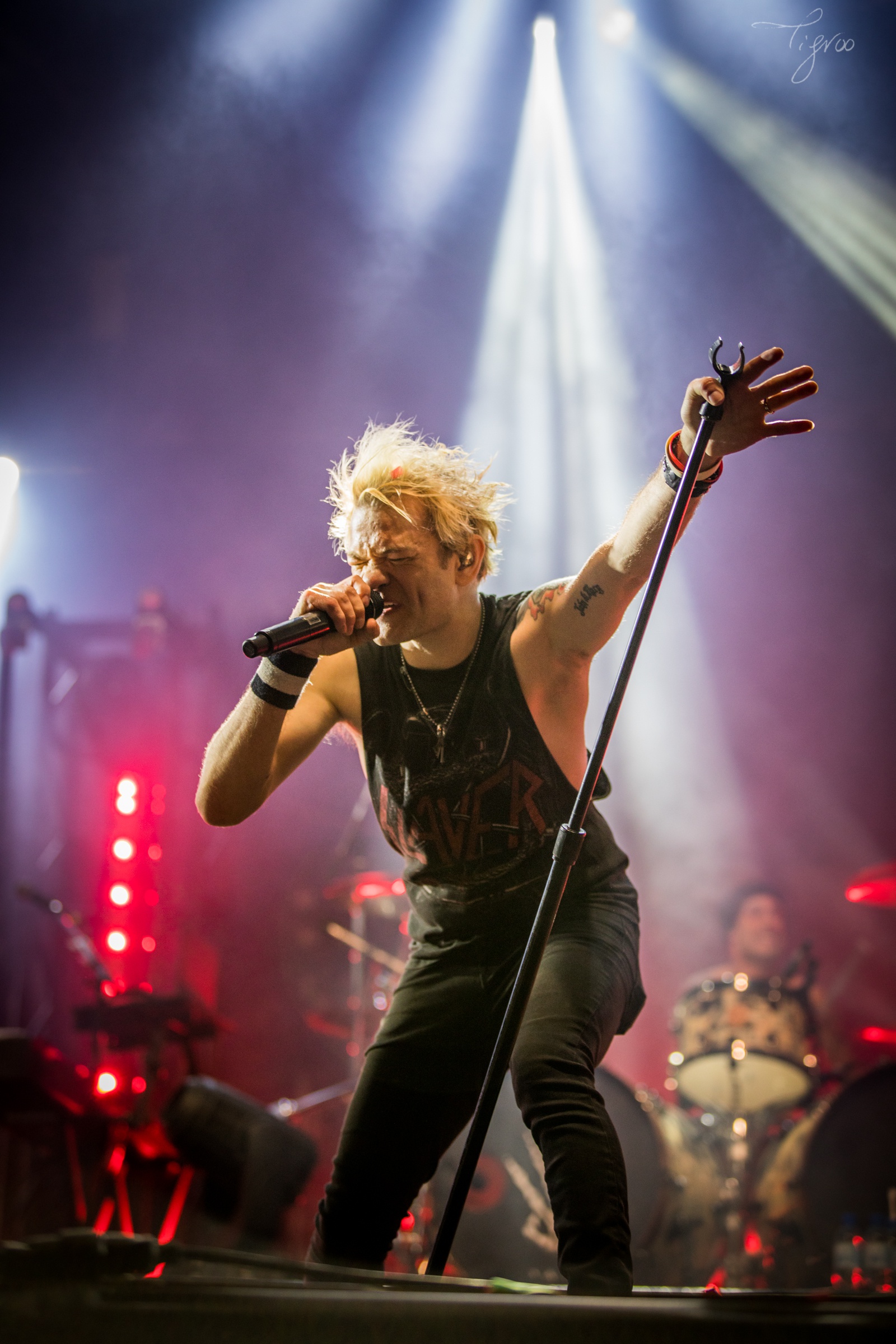 Hellfest Sum 41