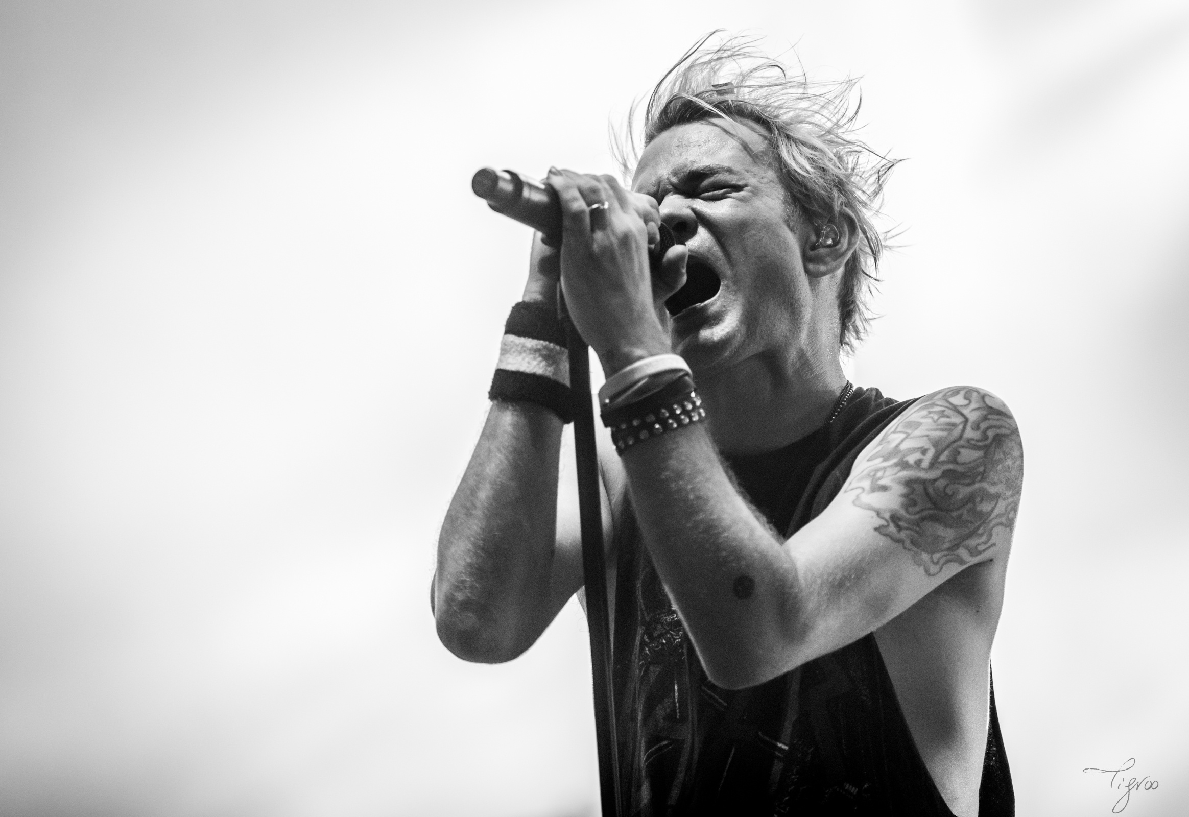 Hellfest Sum 41