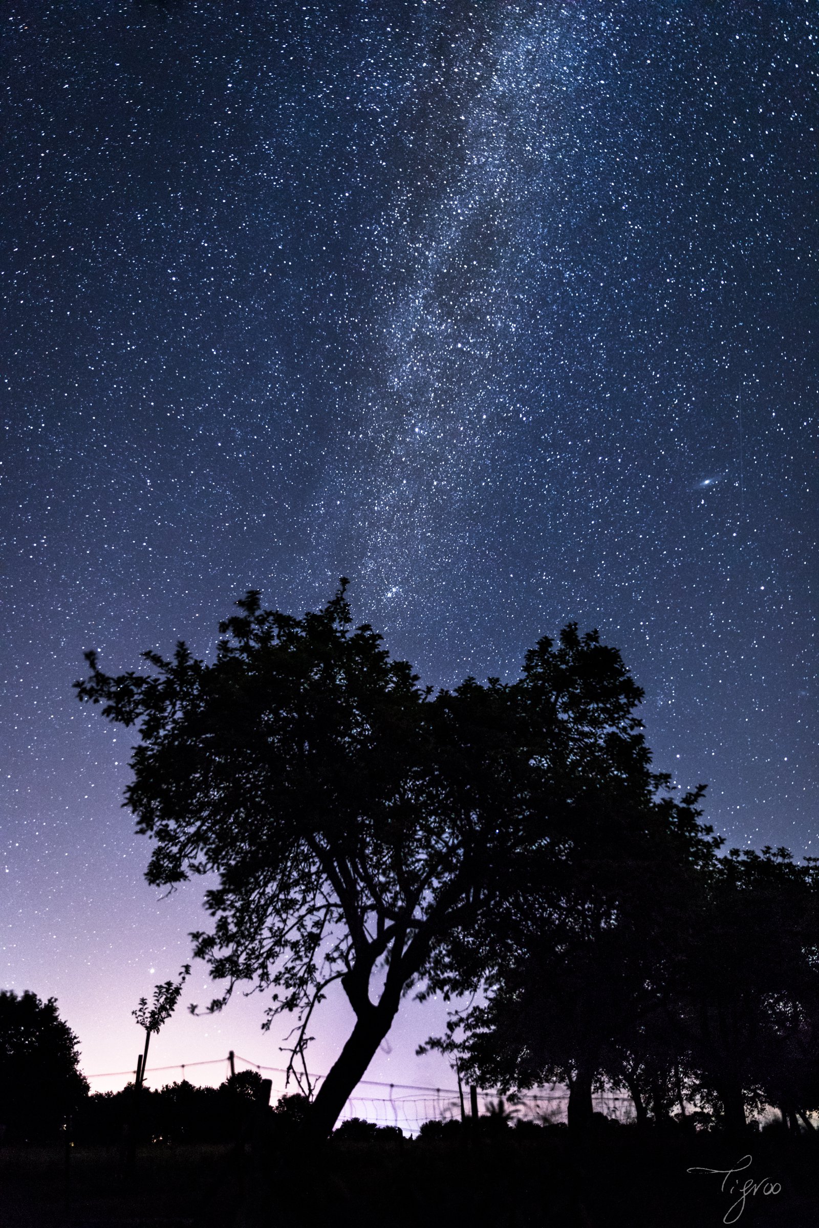 Comète NEOWISE photographe ciel étoiles Voie Lactée pollution lumineuse