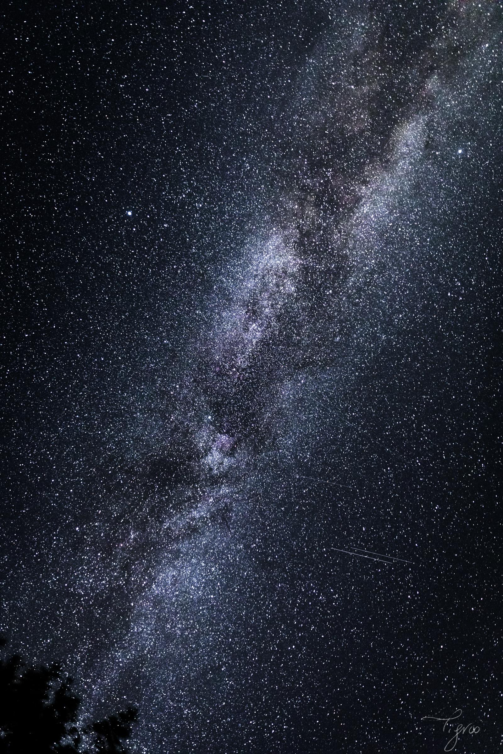 Comète NEOWISE photographe ciel étoiles Voie Lactée pollution lumineuse