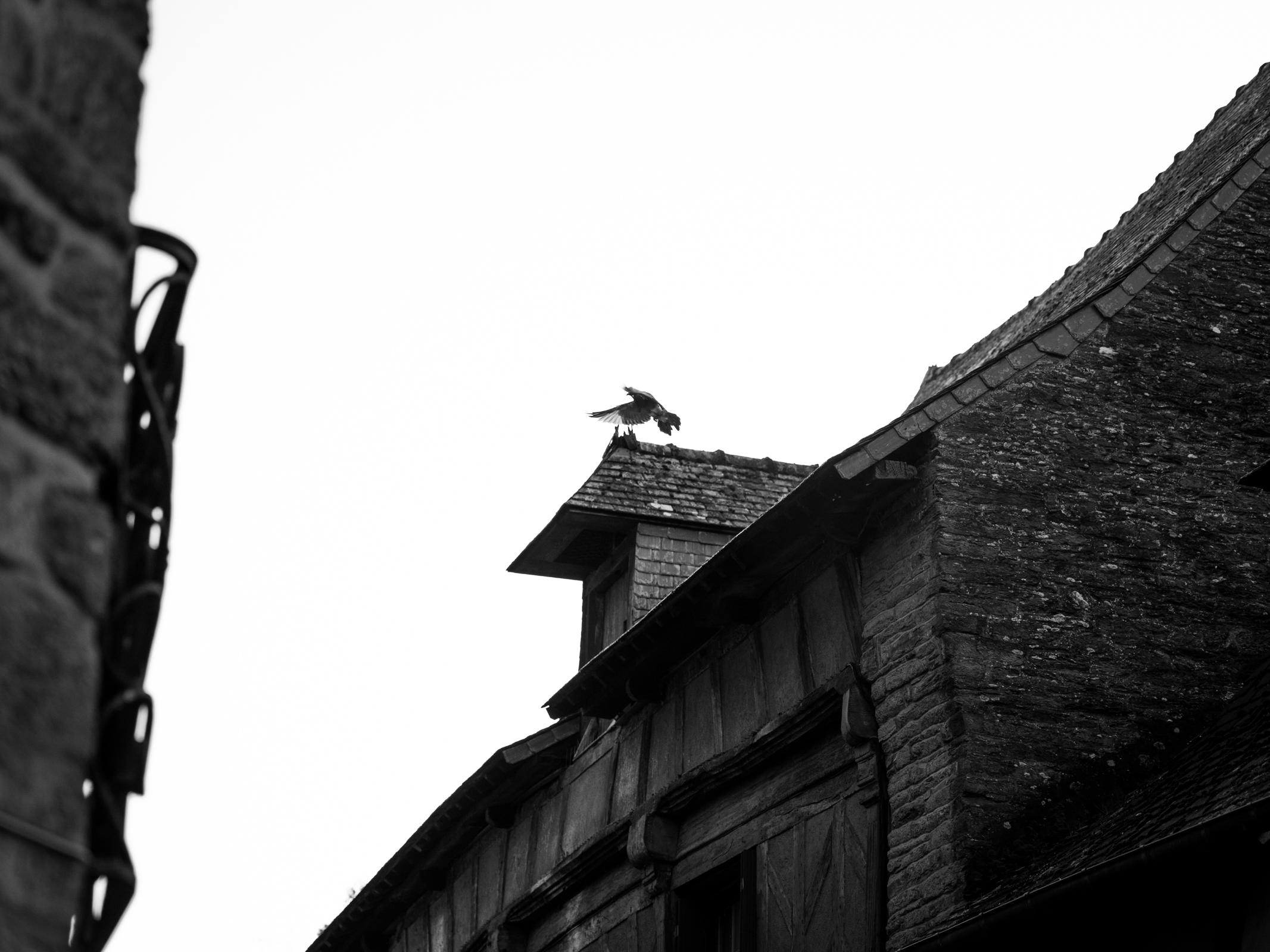 photo photographe balade promenade Bretagne Josselin Morbihan