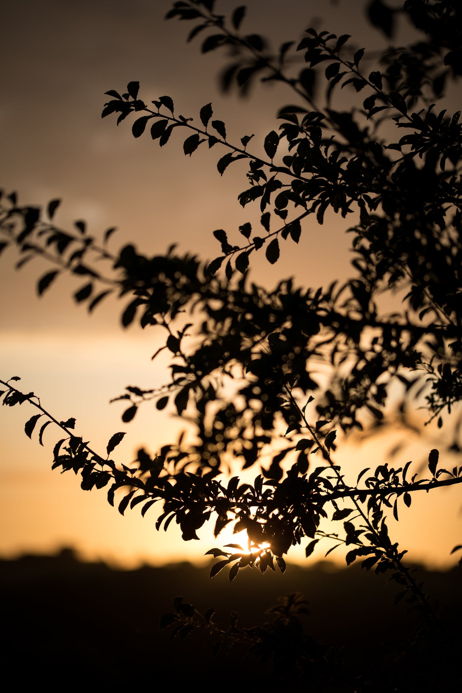 photographie Finistère Bretagne