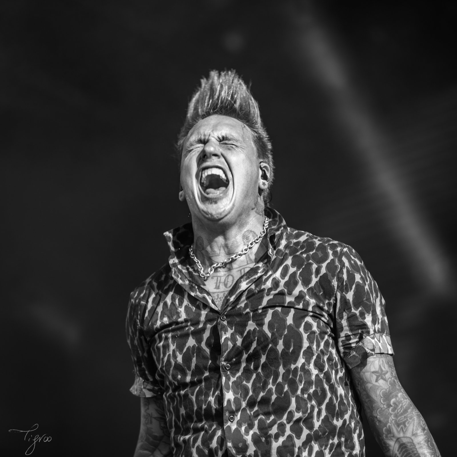 Knotfest meets Hellfest Papa Roach